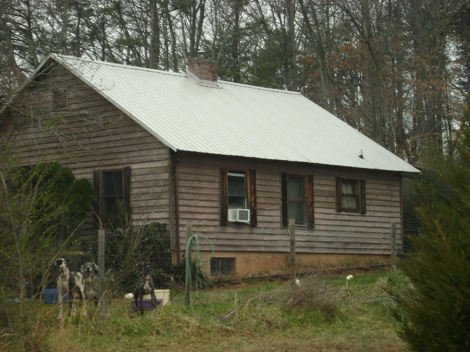 White metal roof on an old wood sided farmhouse, from a Asphalt Shingle Roof Repair job in Cascade